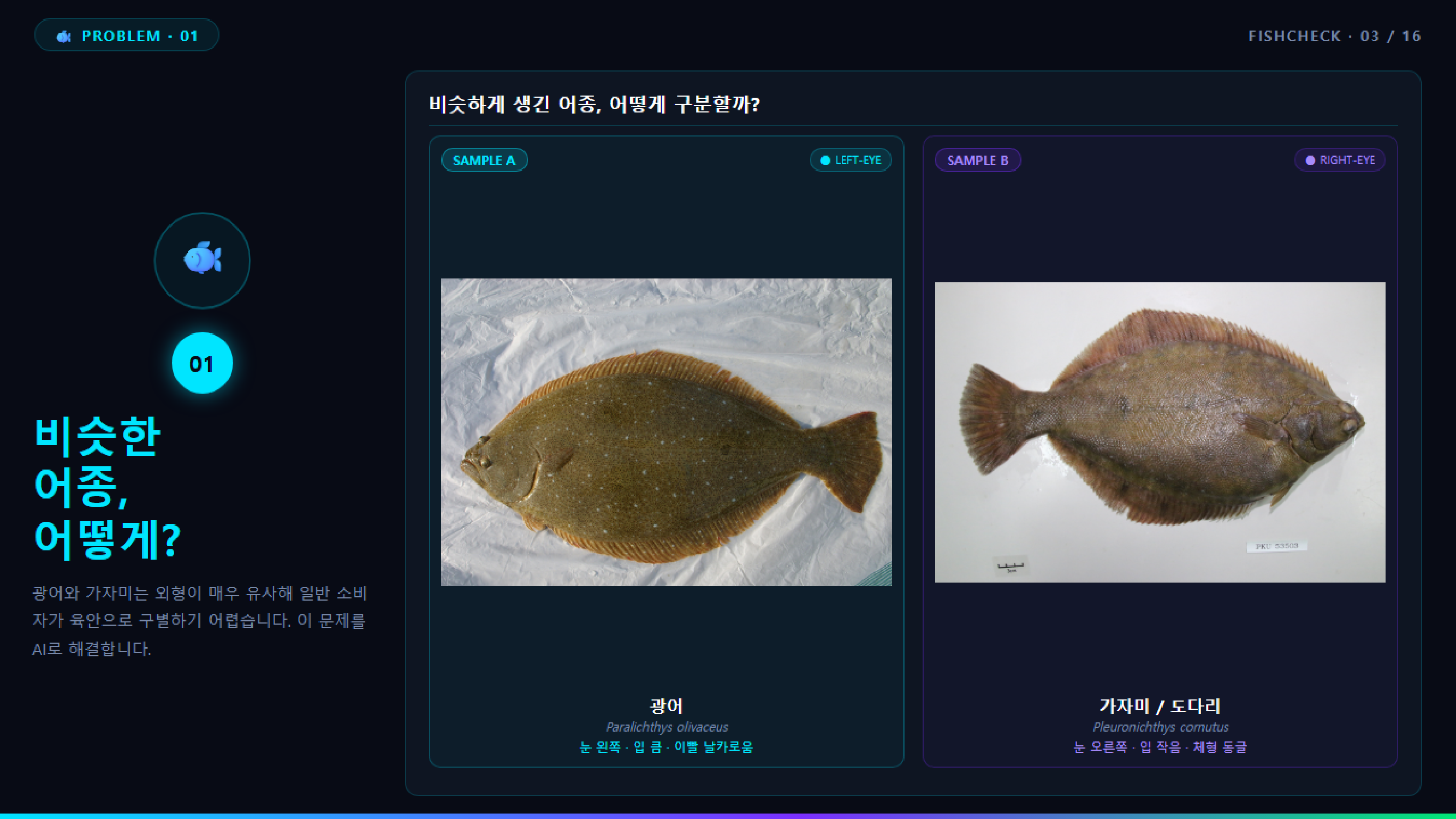 YOLOv8 어종 탐지 결과. 물고기마다 바운딩 박스와 클래스가 표시됨